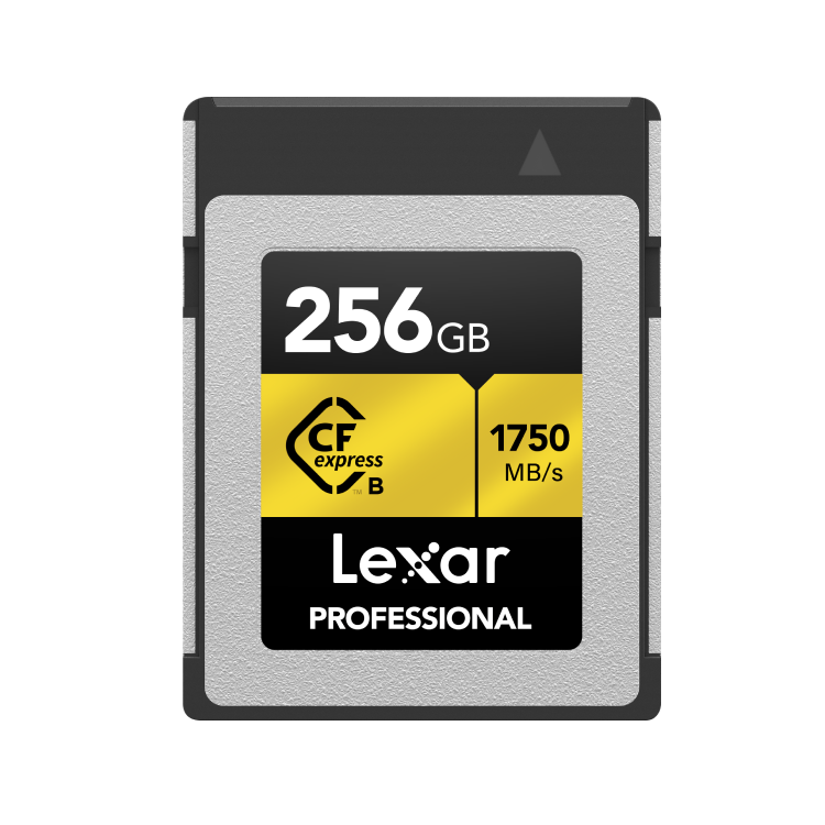 驚きの価格 2_CFe_TypeB_GOLD_256GB_Photo1.png その他