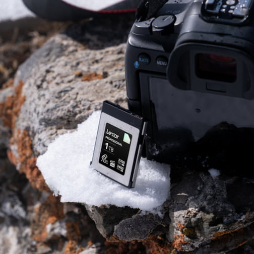 Cold weather photography using a Lexar memory card.