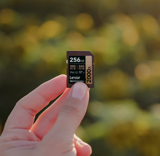 The Lexar 2000x 256GB SD Card.