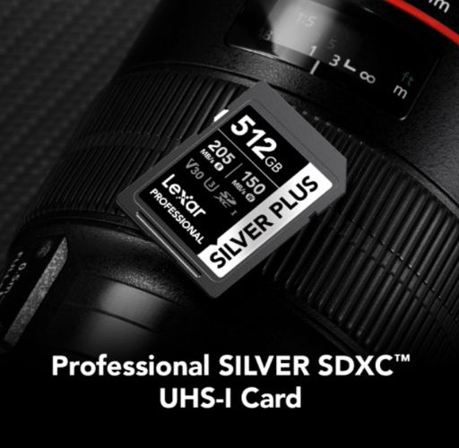 Lexar Professional Silver SDXC UHS-I Memory Card.