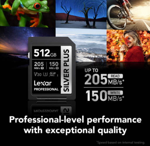 Lexar Silver Plus Professional Memory Card