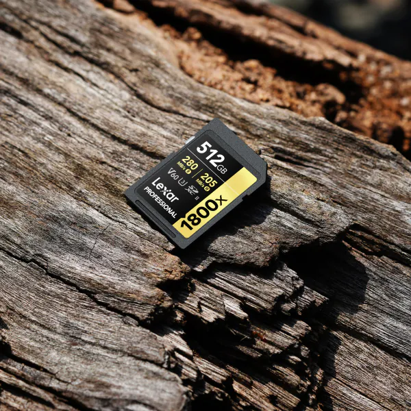 Lexar Professional 1800x GOLD SD card with a 512GB V60 label lies on weathered tree bark.